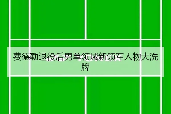 费德勒退役后男单领域新领军人物大洗牌